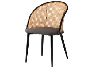 J ROOM ESSENCE `FA 1r _[NO[@TOE-127DGY ^ t@ubN  Vv [J[ s J[hς̂ݑΉ EkCE͂тɎԎws