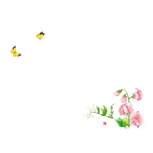 KAMIISO �J�~�C�\�Y�� ��3�e�[�u���}�b�g(100����)No.521 ���傤����ƃX�C�[�g�s�[