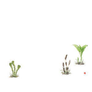 KAMIISO �J�~�C�\�Y�� ��3 �e�[�u���}�b�g(100����) �t�̎R�� No.522