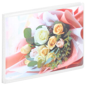 HAKUBA nNo APCPYKGRBQ P|PbgAo CP KGinKLjTCY  20[ [Yu[P