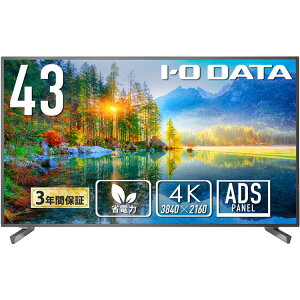 IEO DATA ACEI[Ef[^ ADSpl 4KΉ43^ChtfBXvC TCl[W 3Nۏ LCD-U431D ubN Piŵ݉iꏤiłΕwj n NWbgJ[h