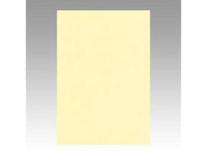 文運堂/ぶんうんどう 色画用紙 ニューカラー 8切 うぐいす 8NCR-105 八ツ切 縦392×横271mm