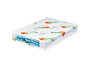 kzIB NEWt@CJ[ 64g 500 A4 XJCu[