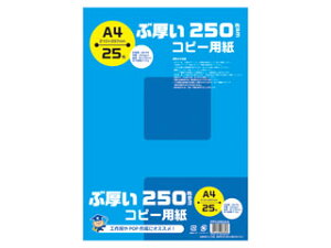 {m[g ԌRs[p A4 250gsm 25@PPC250A4
