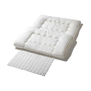 �A�l�X�e�B karari�������E�L�V�[�g �z�c�p1����