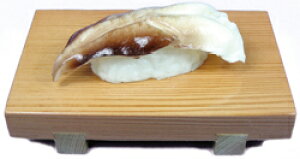 Ðms FT-19 d ƂL Mt ͕t