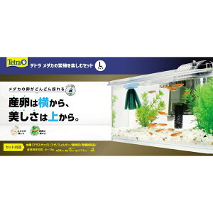 XyNguYWp  _J̔ɐByރZbg L