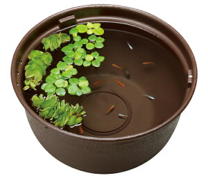 GEX WFbNX _JC _Ĵ߂̎甫 370