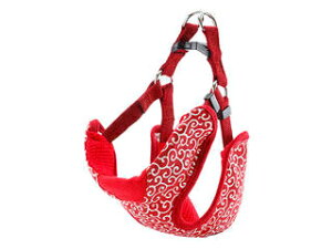 Petio yeBI Petio@@xXgn[lX@S