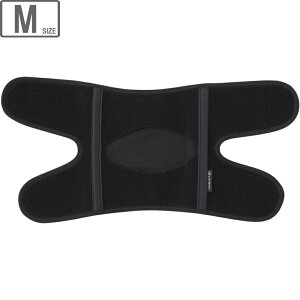 t@Ce Phiten t@CeT|[^[ ^bNX Ђp ~h^Cv yubNzyMTCYz AP233004