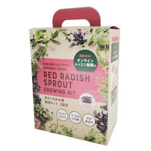 ЃO[tB[hvWFNg ICt Ԃ卪 ͔|Lbg 2