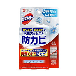 Johnson W\ JrL[ CɒuhJrWF ₳t[̍ {