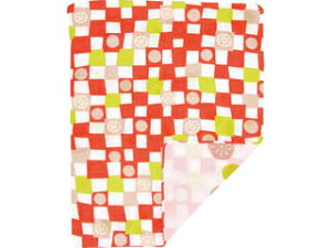 낿@ʃK[[nJ`@ 񂱂s 42102111