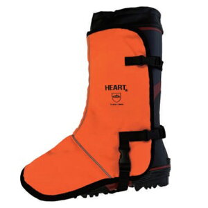 n[gtEWp `F[\[یp rJ t[