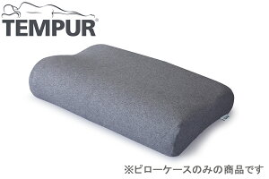 TEMPUR es[ X[Xs[P[X IWis[X}[gN[p O[