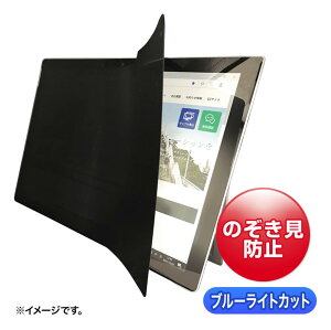 サンワサプライ LCD-ZE2LN105IPA 2WAY覗き見防止フィルム(iPad Pro 10.5インチ対応)