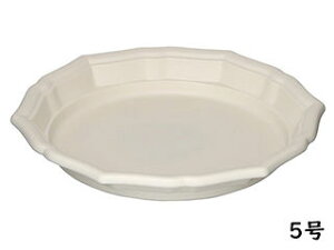 apple AbvEFA[ X^Cv[g 5 WHzCg