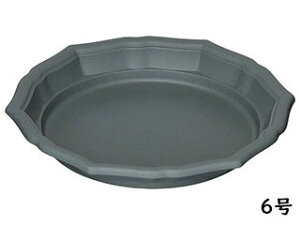 apple AbvEFA[ X^Cv[g 6 DG_[NO[