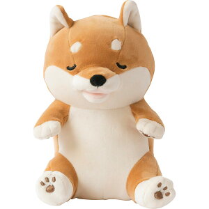 Ê݃nn R^E/VoCk YE-HM001KT