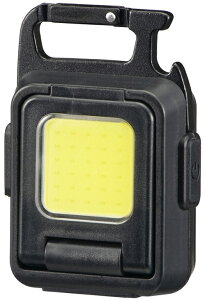 OHM I[d@ LH-CW70A5@RpNgCOBCgW 700[