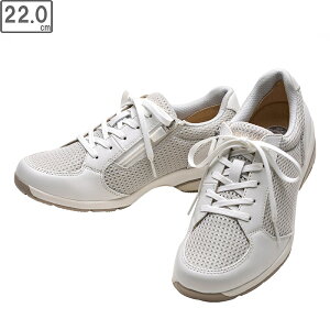 ASAHI/ATqV[Y yfB[XzfBJEH[N WK L029yzCgzy22.0cmE3EzKV78481 yʃXj[J[ t@Xi[t SHM(R)@\ tbgOt@[