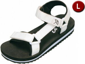 ARNORD PALMER/A[mhp[}[ X|T fB[XL (zCg) D3AN5401-2