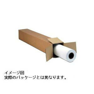 �G�X�E���C�E�V�[ LF5-BLF36AX �o�b�N���C�g�t�B���� �\�ł��^�C�v 36�C���`x30m/1�{