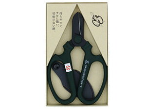 sakagen ⌹ nhNG[V F170 n XG  #93142