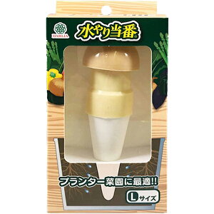 MARUHACHI }n`Y DAHLIA/_ V蓖 LTCY