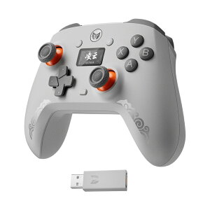BIGBIG WON rbOrbOEH fBXvC /LQ[Rg[[ Bluetooth 5.0/2.4GhO/USB Type-C to A AETHER