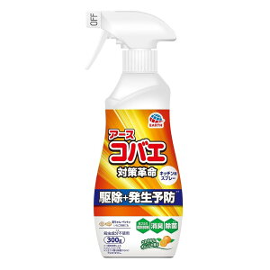 Earth アース製薬 アースコバエ スプレー キッチン用 300g