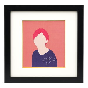 Kenko PR[ PS-MINI-BK PCXNGA ~jFt[