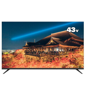 APEX アペックス 43型フルハイビジョン液晶モニター(2K対応/HDMI3系統搭載/壁掛け対応) AP43APXB