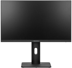 Princeton �v�����X�g�� IPS�p�l���̗p �t��HD�Ή�23.8�^���C�h�t���f�B�X�v���C USB Type-C���� �u���b�N PTF-H241WS-BK