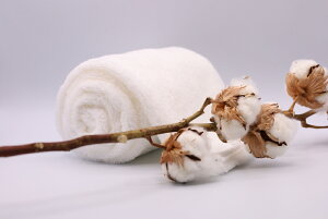 Q 킽̂͂ No.3@ @ zCg @ 750300