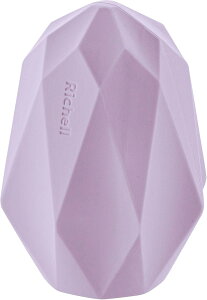 Richell b`F LJPA fRe[[