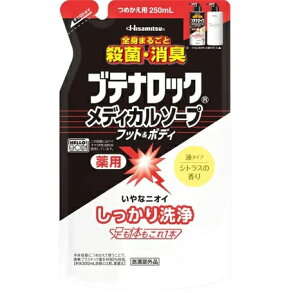 Hisamitsu v ueibNfBJ\[v tbg&{fB ߂p 250mL