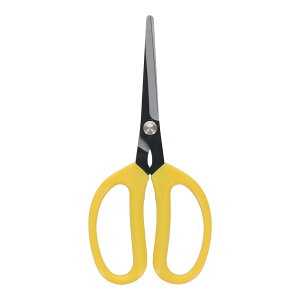 SANKYO OR[|[V sitan؉͂