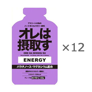 _Cg[Y I͐ێ悷 TpE`GlM[WF yO[vzy12{/1z 311200