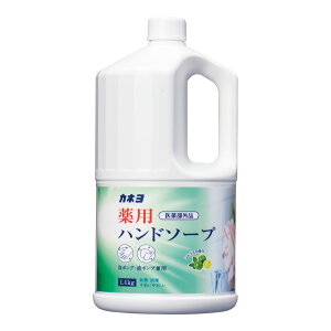KANEYO JlΌ Jl pAnh\[v(򕔊Oi) 1.4kg