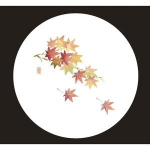 ArTec A[ebN aR[X^[ (50) WCO-M7N ݂