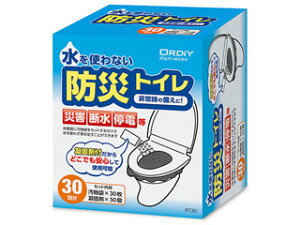 IfB hЃgC(30p)@BT30