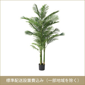 J ROOM ESSENCE tFCNO[ AJV GRN-19 JݒuT[rXt sEJ[hόEꕔn݂̂͂\