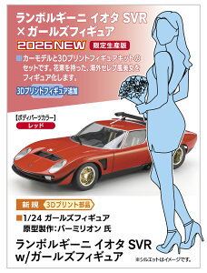 Hasegawa nZK 1/24 {M[j CI^ SVRw/K[YtBMA SP679