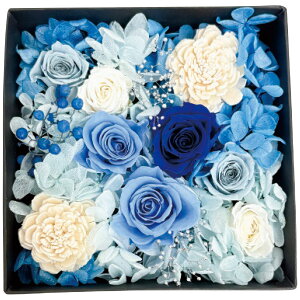 Ark Flower Studio �A�[�N�t�����[�X�^�W�I �������v���U�[�u�h�t�����[ �W�����_���E�t����