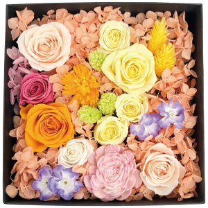 Ark Flower Studio �A�[�N�t�����[�X�^�W�I �������v���U�[�u�h�t�����[ �W�����_���E�t����
