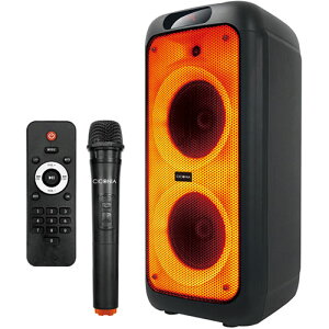 �Z���^�[���� CICONIA �t���C��LED�p�[�e�B�[�X�s�[�J�[ CTEY-2080F