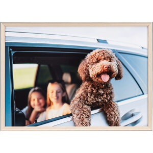 Kenko �P���R�[ AAG-A4-NA �i�`������ Amineo grande A4 �A�~�l�I�E�O�����f