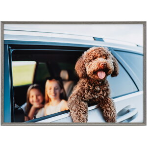 Kenko �P���R�[ AAG-A3-GRY �O���[ Amineo grande A3 �A�~�l�I�E�O�����f