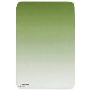 MIYATAKE �{�����쏊 �v���|�[�V�����`�F�A�}�b�g 60×90cm �O���[�� PMT-9060